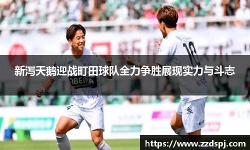 bellbet贝博艾弗森官方网站