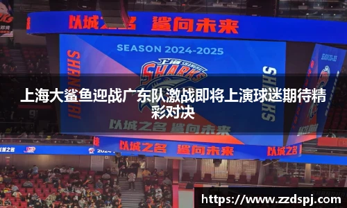 上海大鲨鱼迎战广东队激战即将上演球迷期待精彩对决